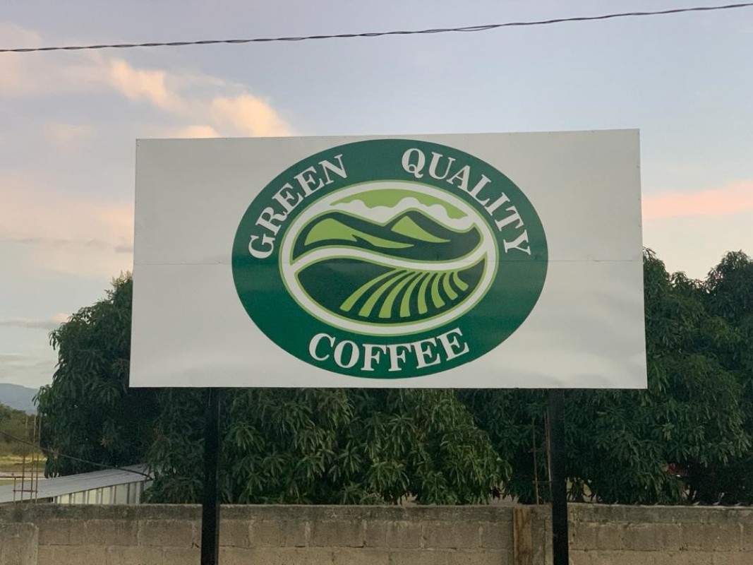 Honduras Arabica Green Coffee from Honduras